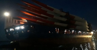 Фото И снова здравствуй! №3